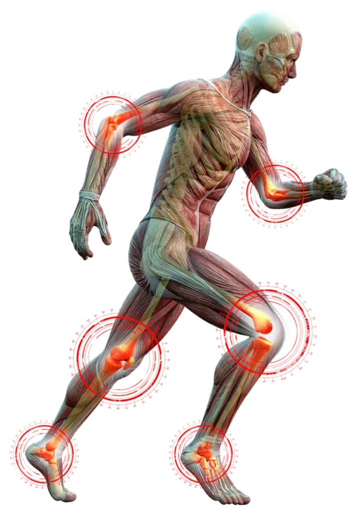 human 1